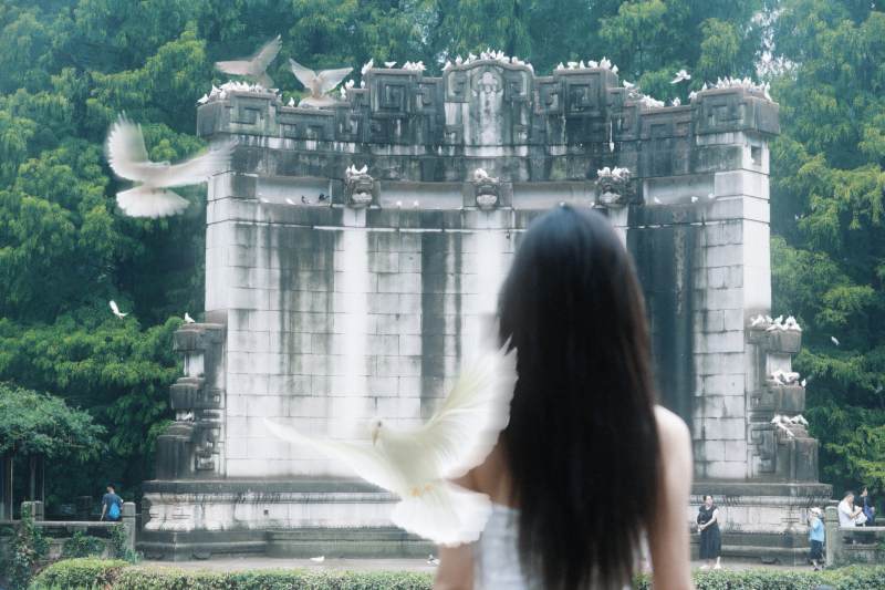 白鸽与古塔图片