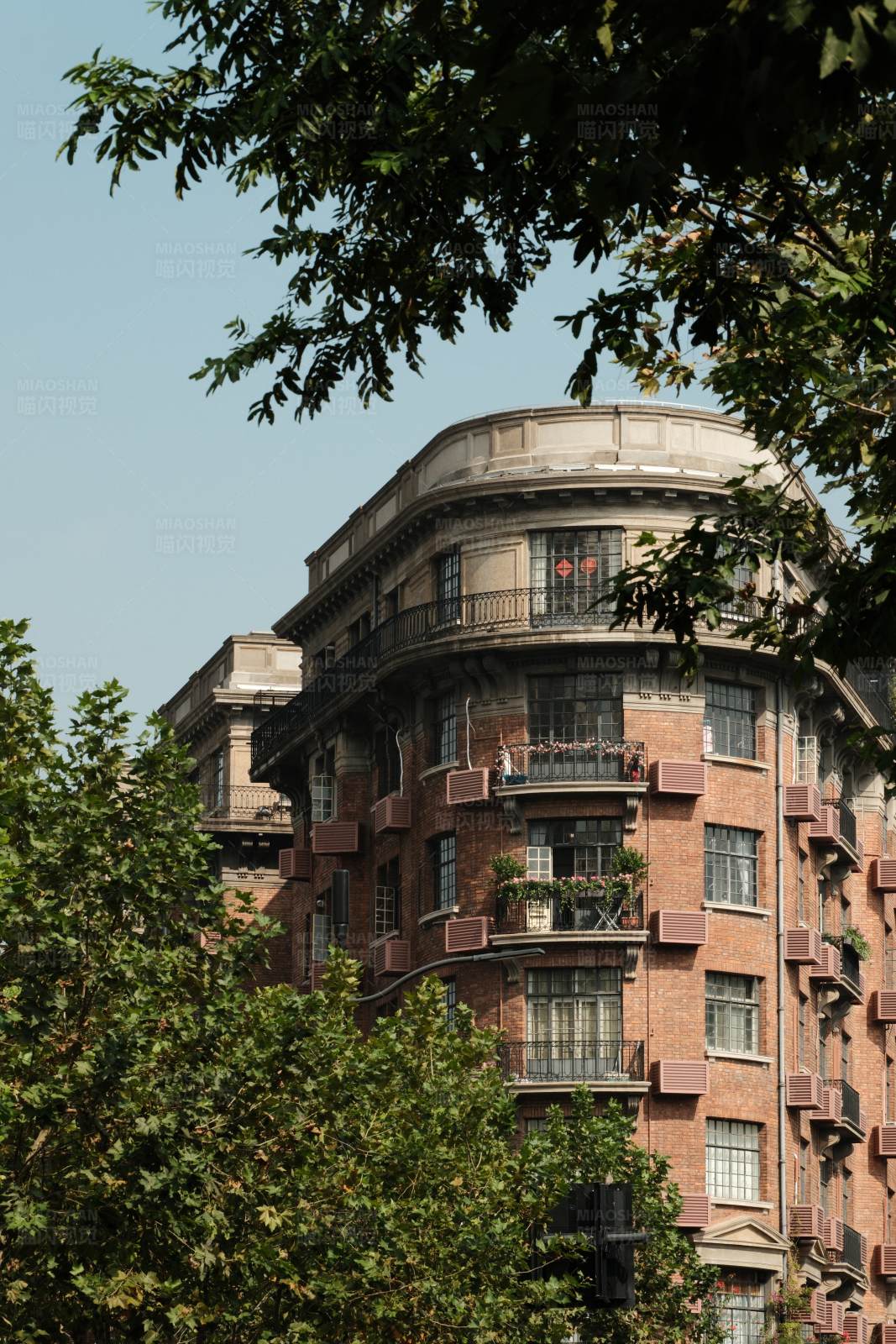 城市绿荫中的老建筑图片