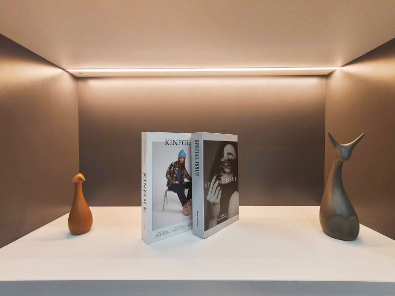 光影中的静物对话图片