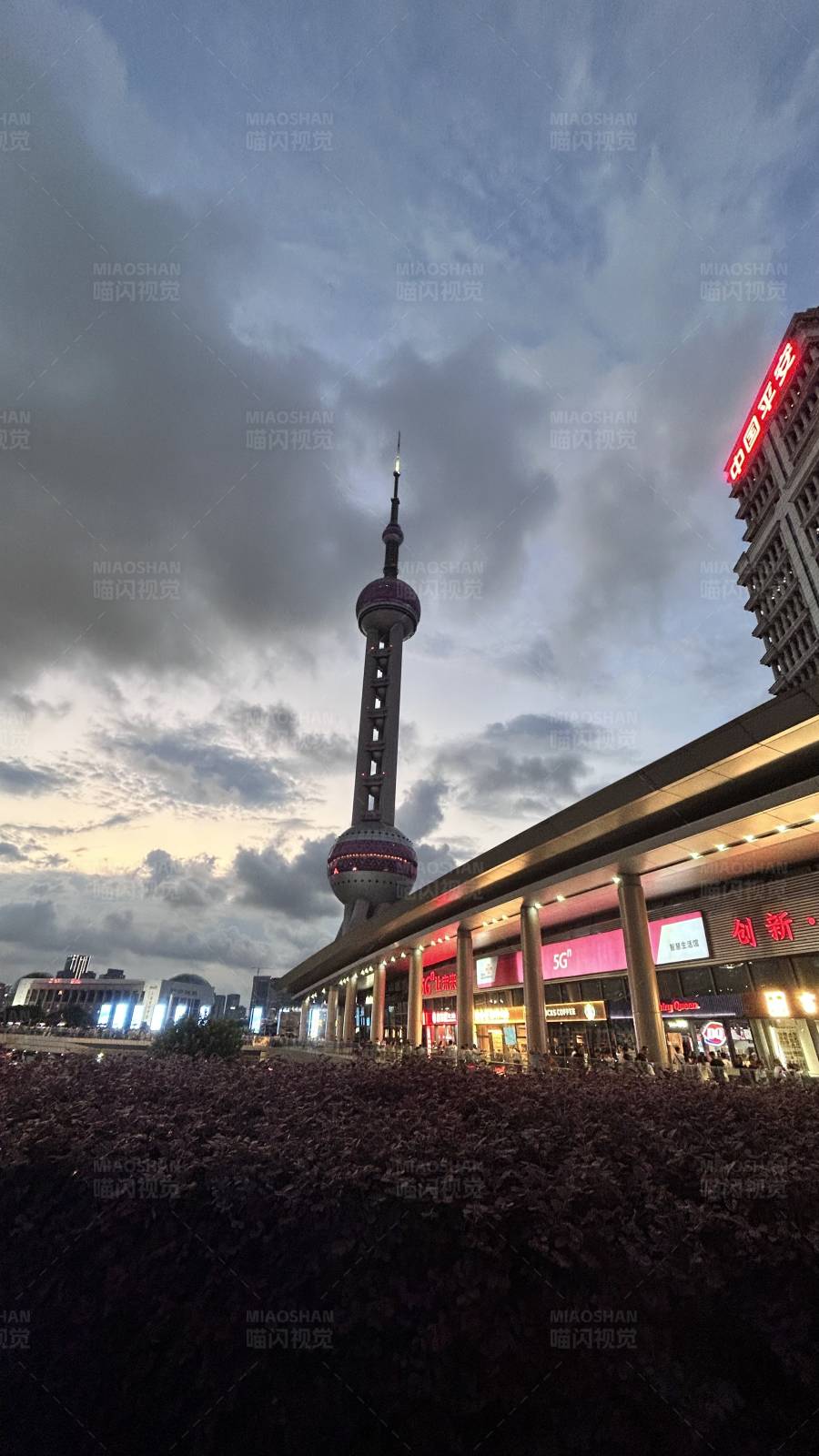 东方明珠塔夜景图片