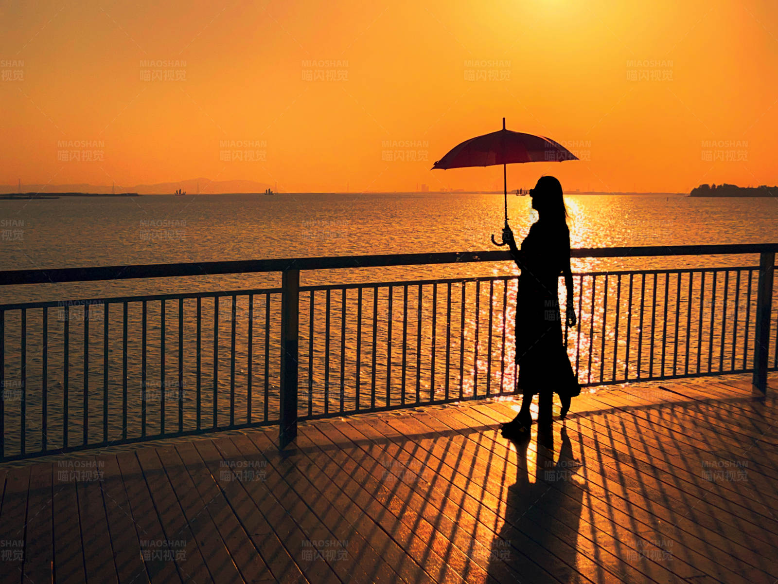 夕阳下的独行者图片