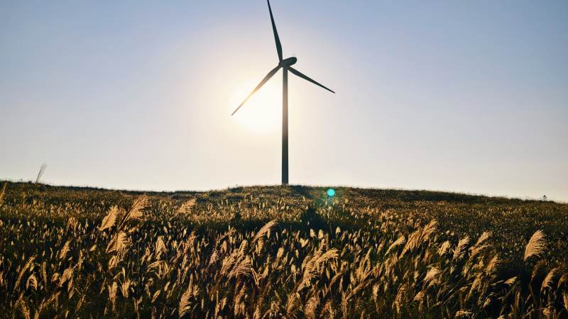 风车与阳光图片