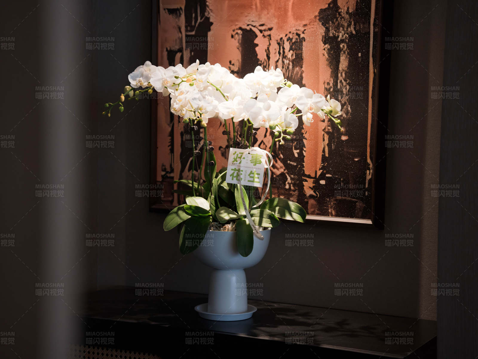 白兰花与艺术画图片