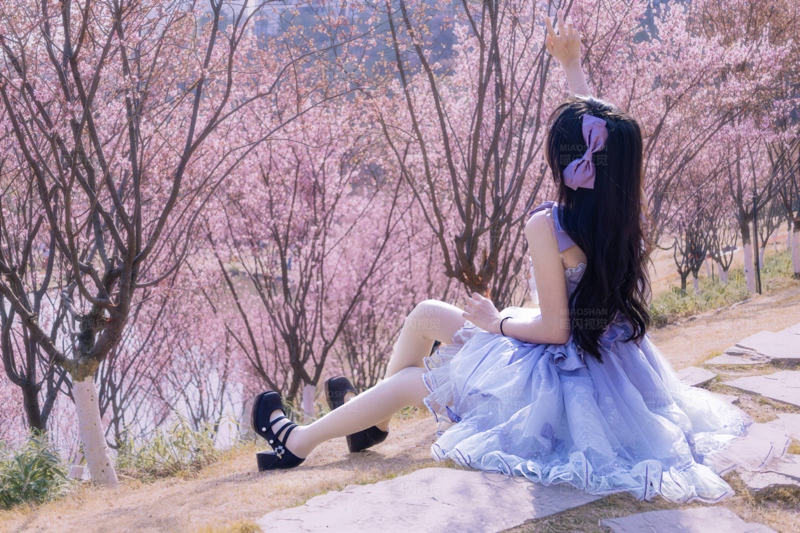 樱花树下的梦幻少女图片