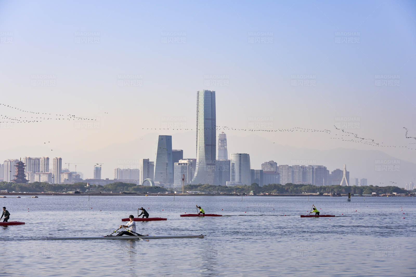 厦门皮划艇比赛图片