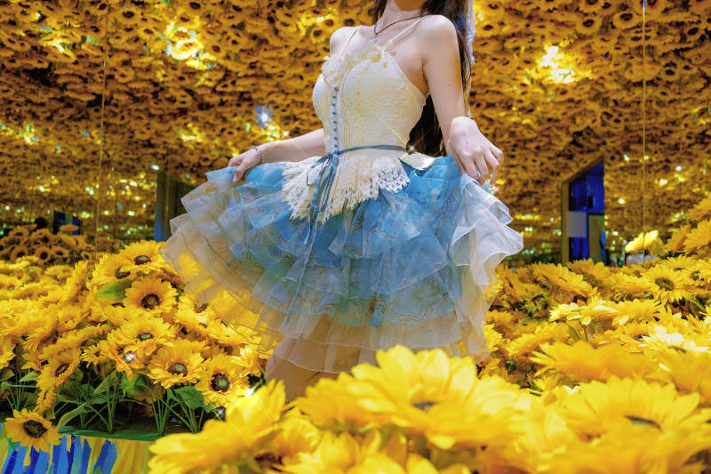 花海中的梦幻裙摆图片