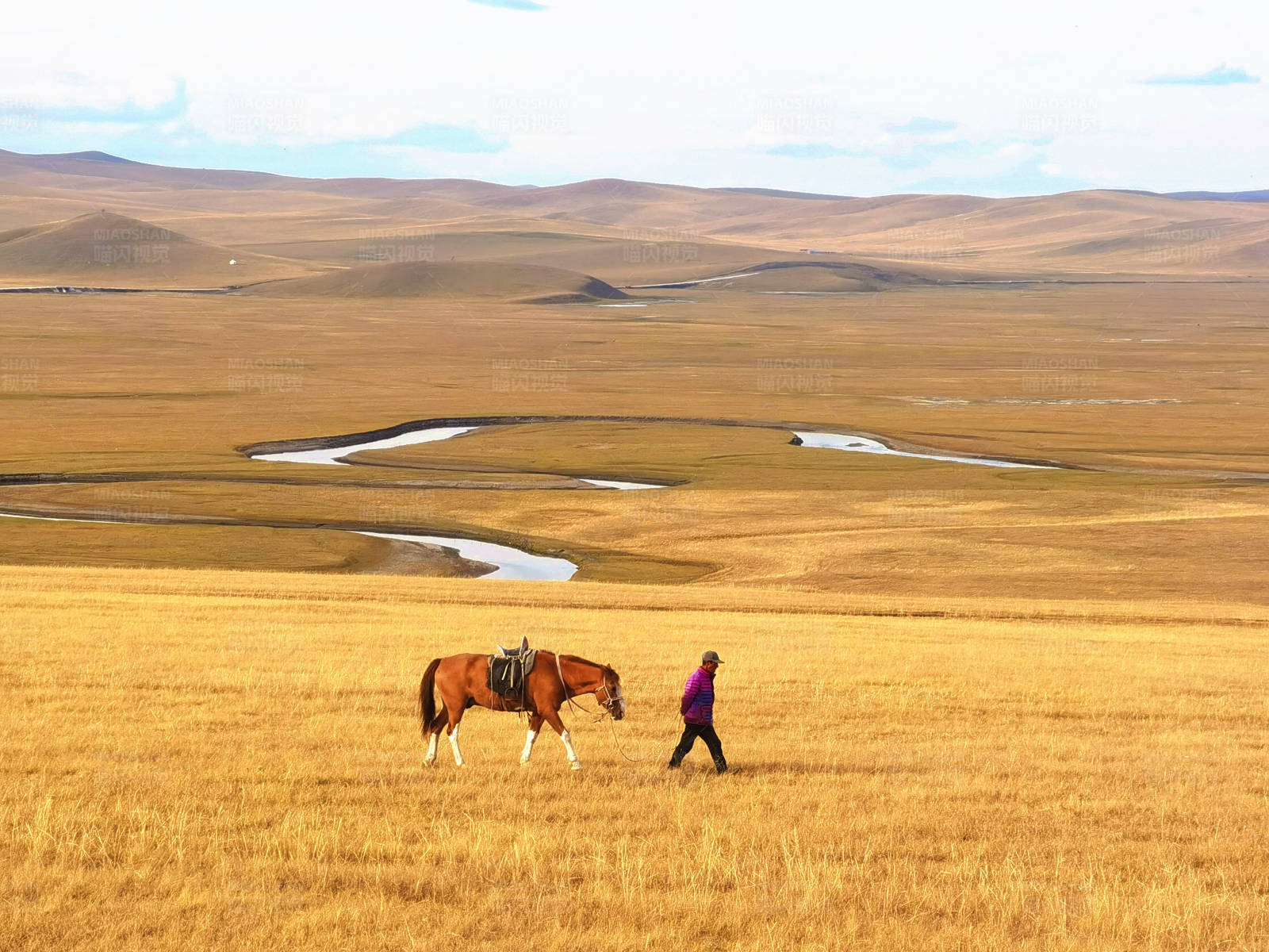 草原上的马与人图片