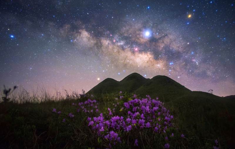 星空下的紫色花海图片