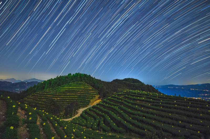 星空下的茶园图片