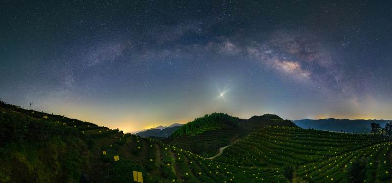 银河下的茶园夜景图片