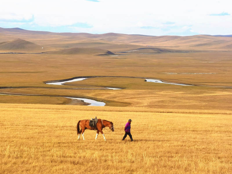 草原上的马与人图片