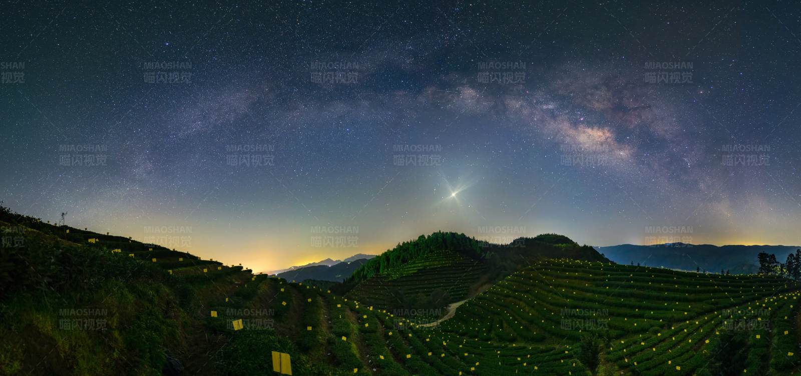 银河下的茶园夜景图片