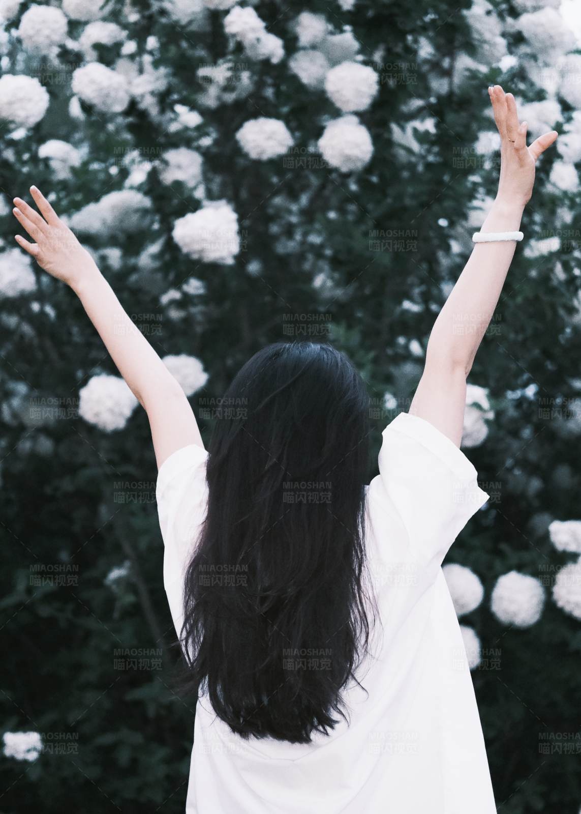 迎接春天的花朵图片