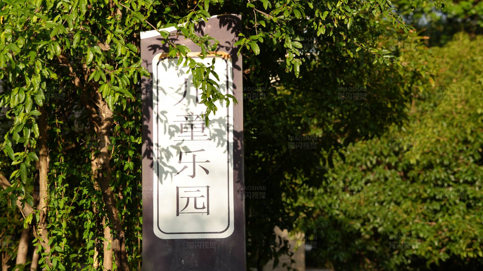 阳光下的中文标识图片