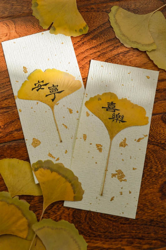 银杏叶书签图片