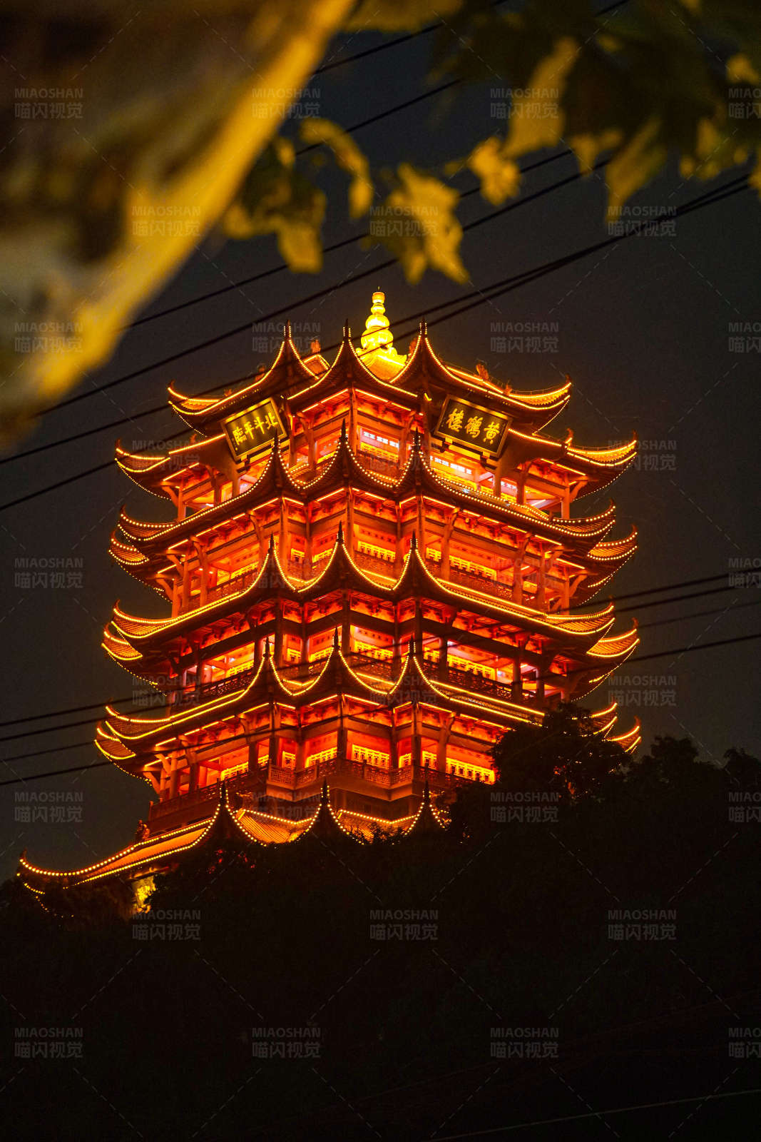 夜色中的金色宝塔图片