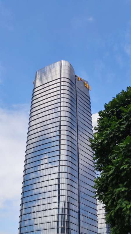 摩天大楼与绿树图片