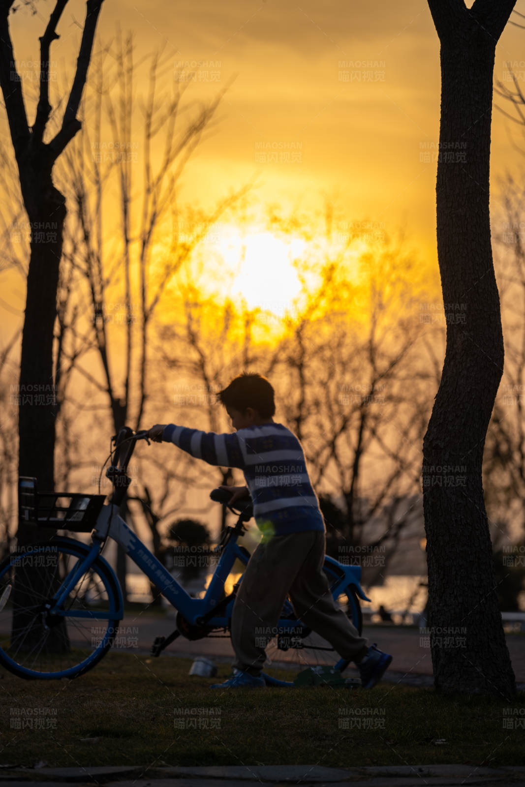 夕阳下的小骑手图片