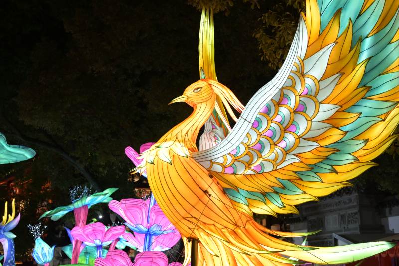 璀璨灯会 凤凰展翅图片