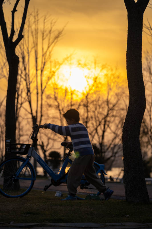 夕阳下的小骑手图片