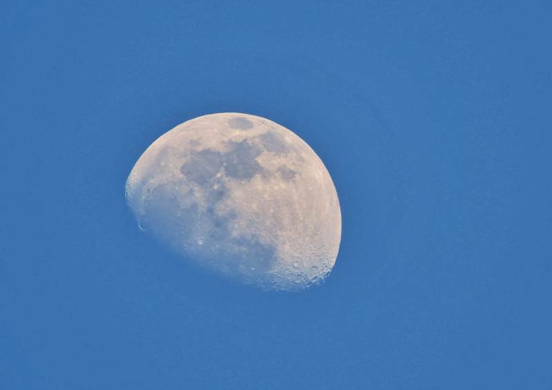 白昼的温柔月亮图片