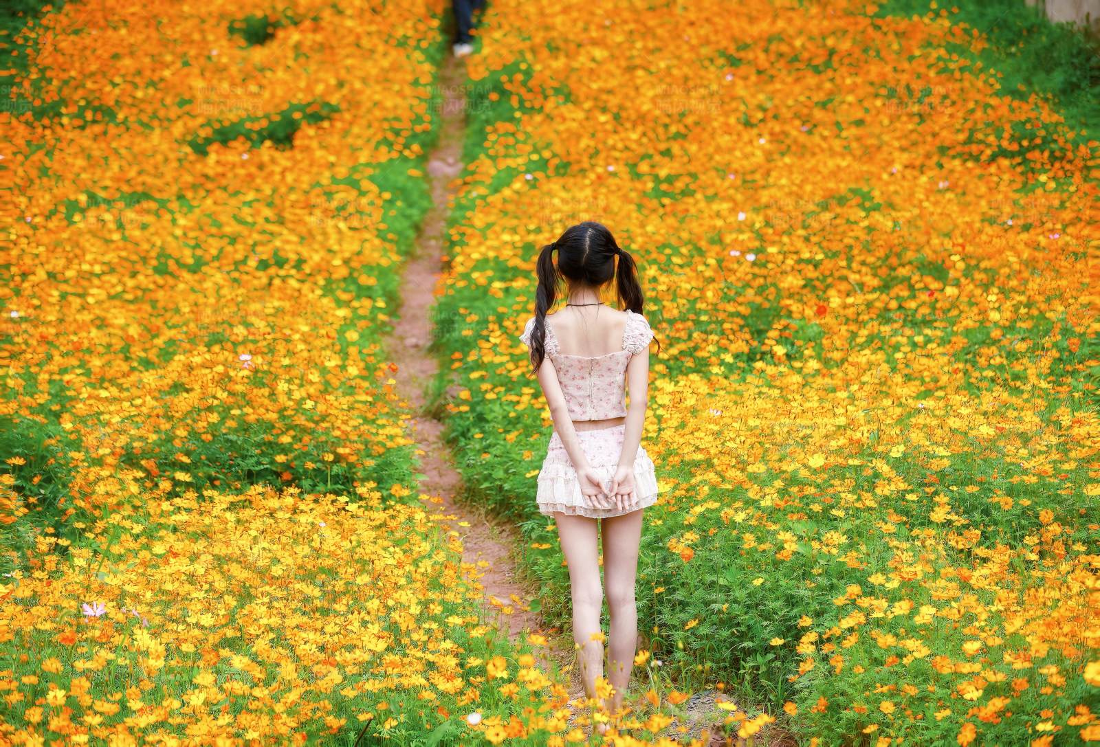 花海中的独行者图片