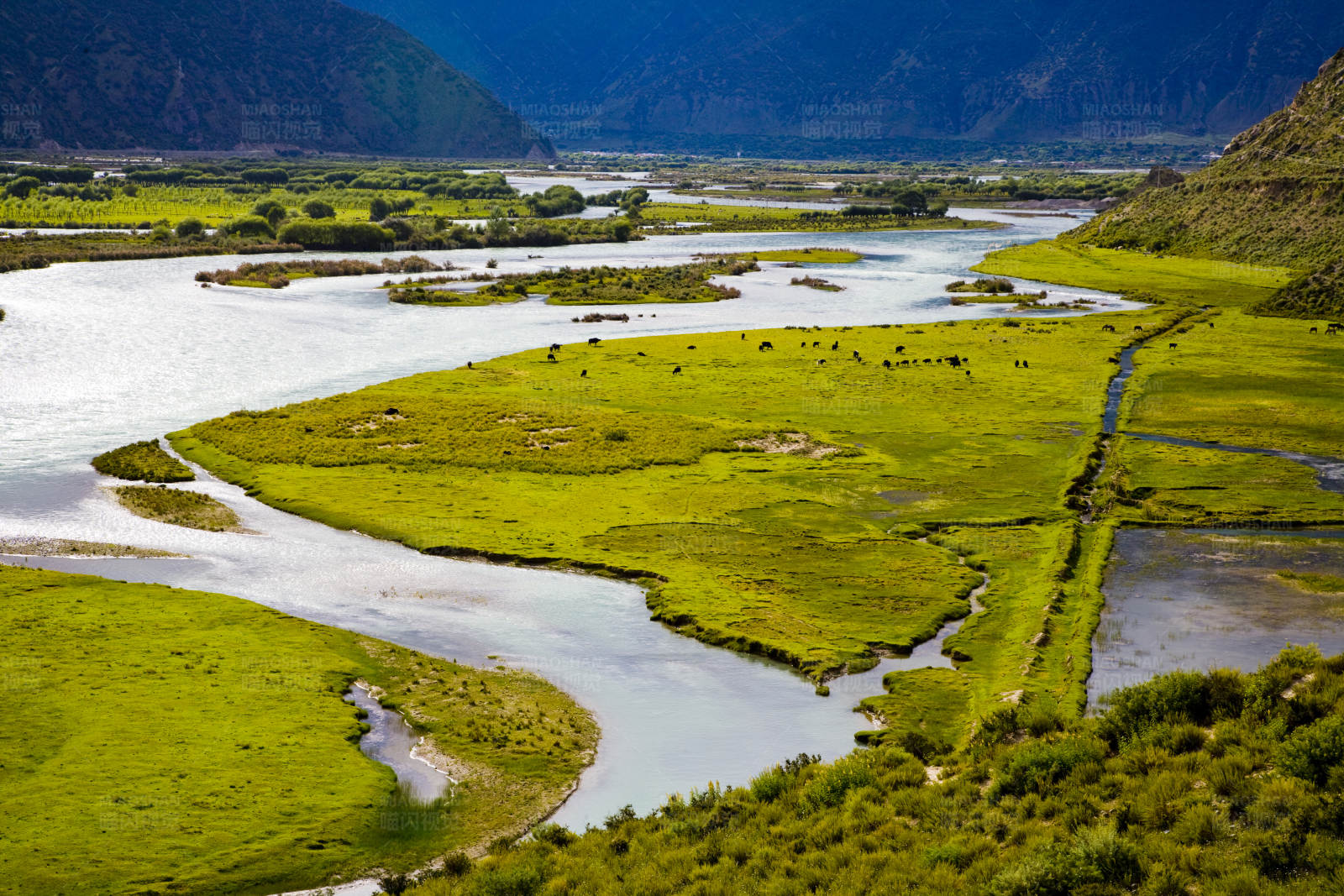 林芝泥洋河湿地风光图片