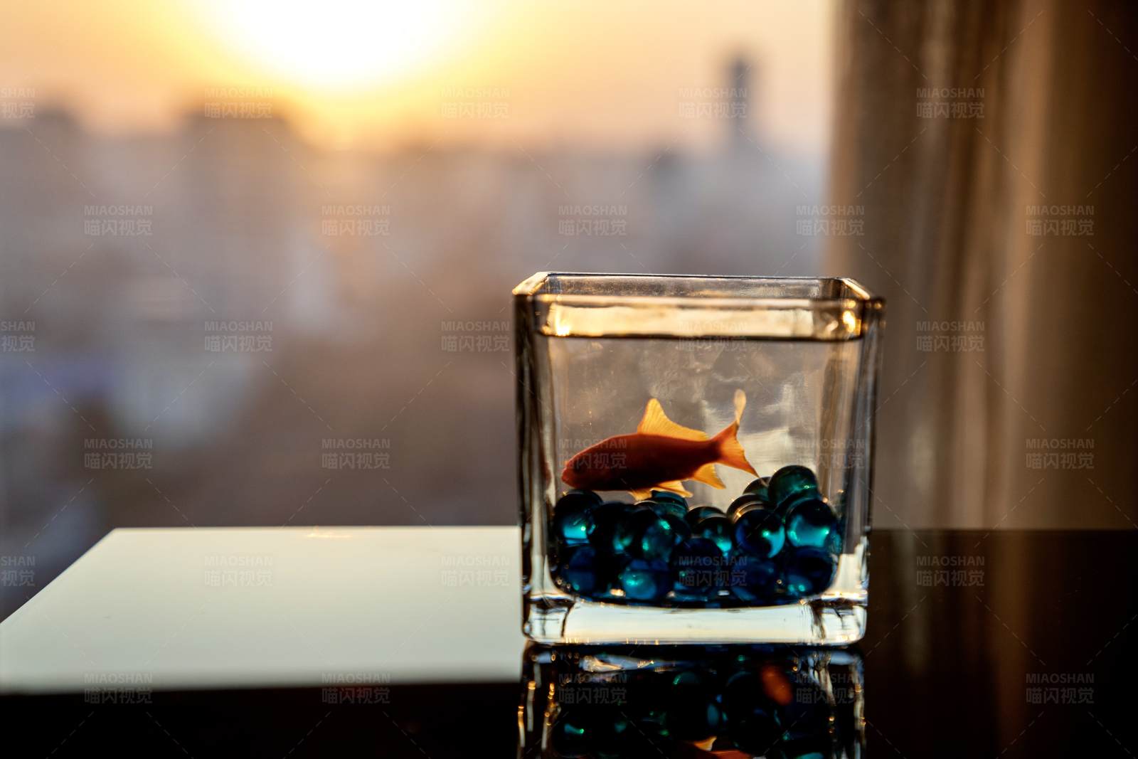 鱼缸里的日落图片