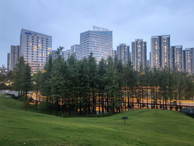 城市森林夜景图片