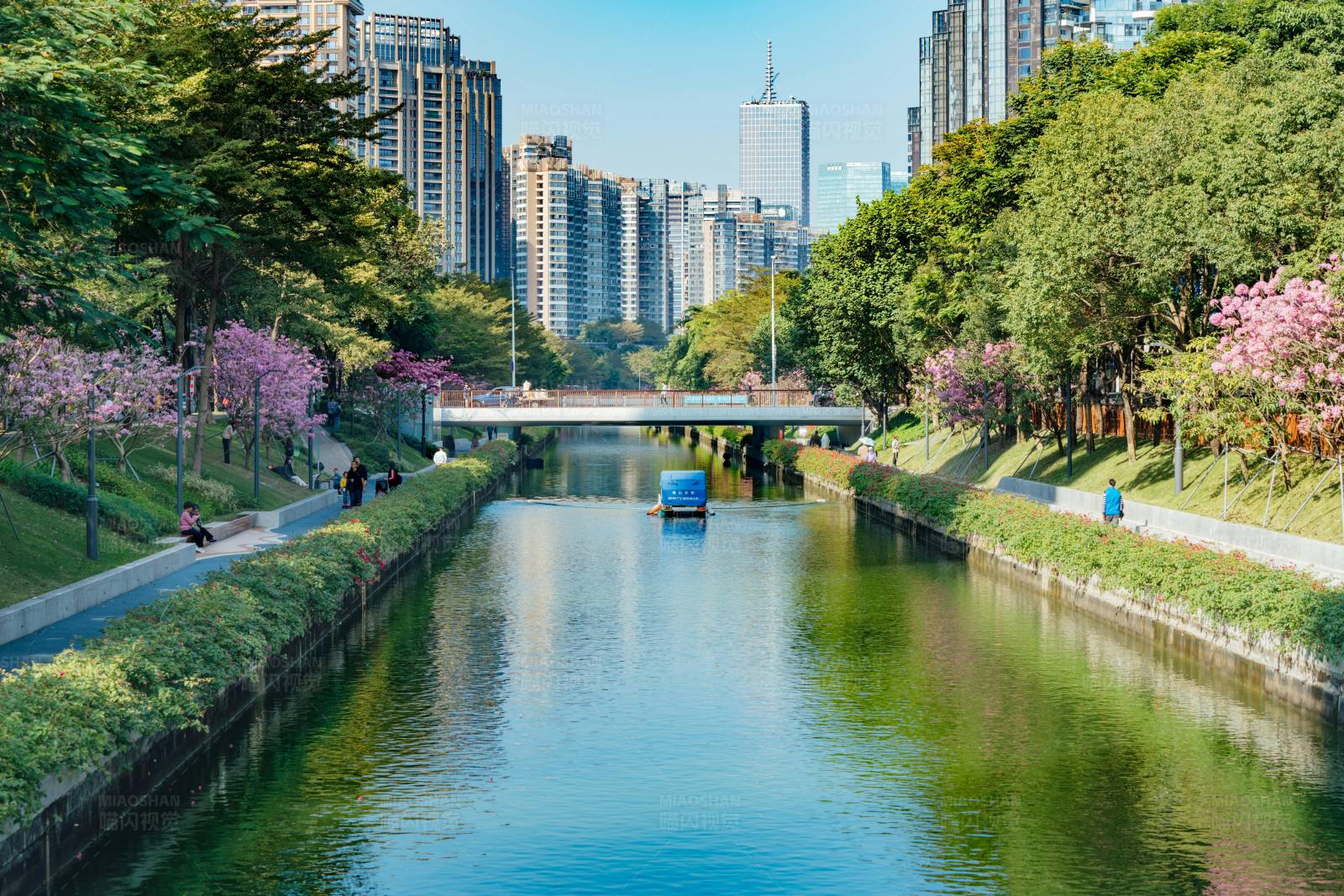 城市运河春景图片