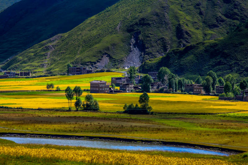 新都桥田野中的别墅图片