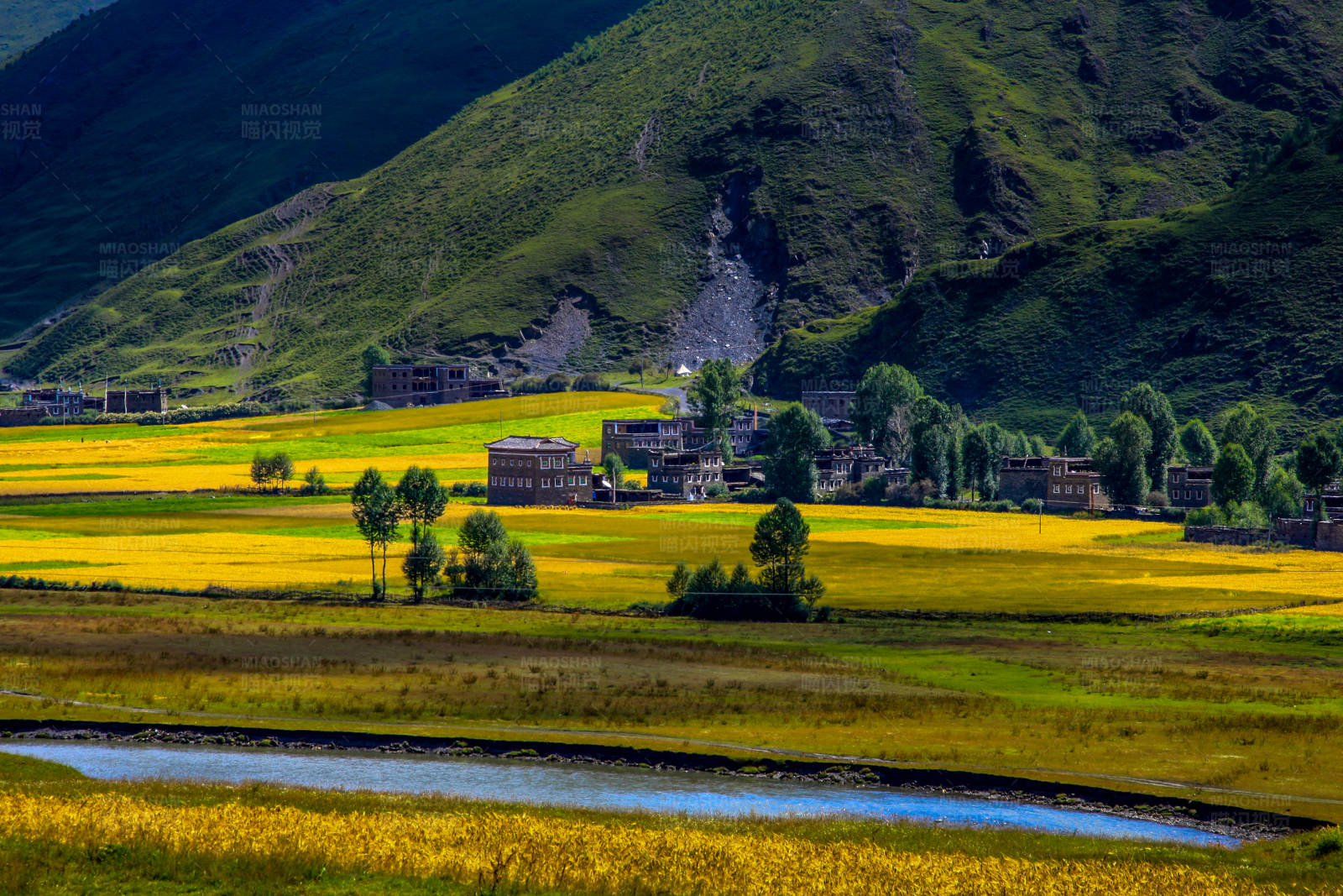 新都桥田野中的别墅图片