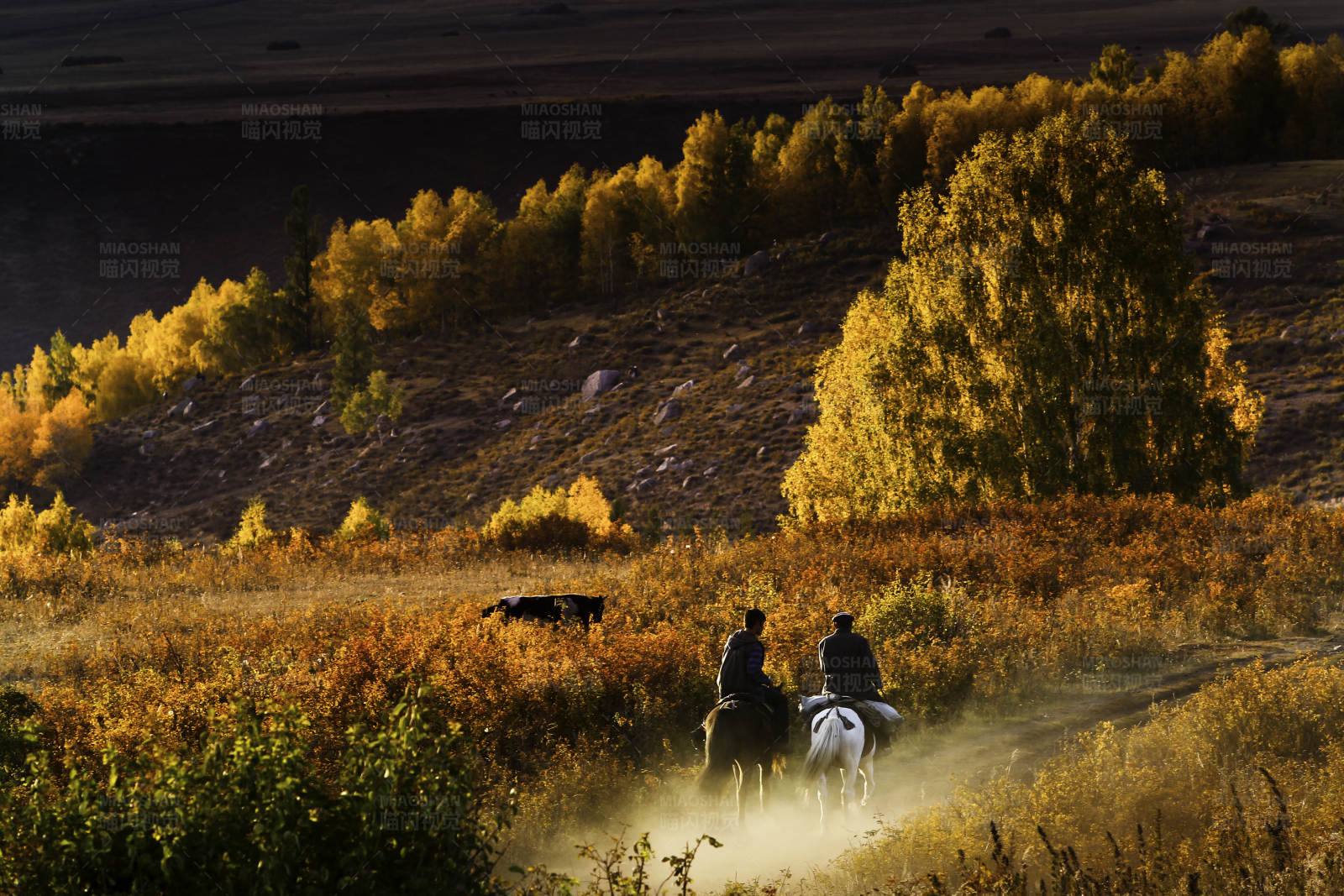 秋日骑马行图片