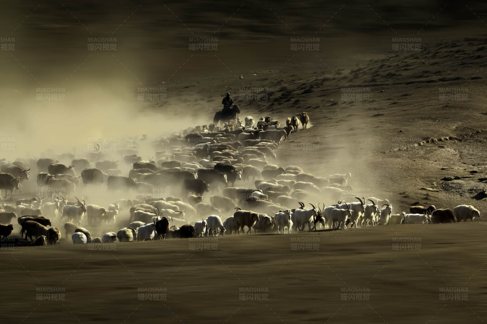 牧羊人在尘土中图片