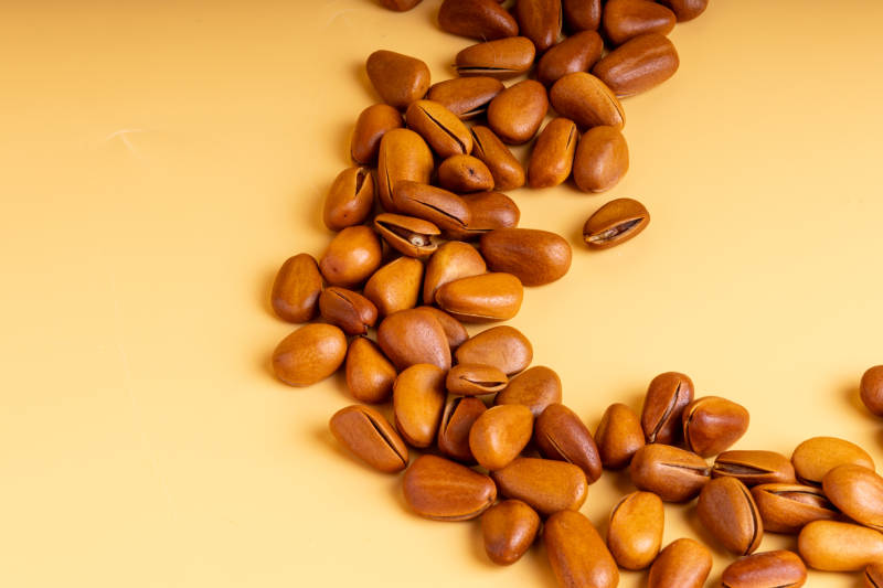 松子散落在黄色背景上图片