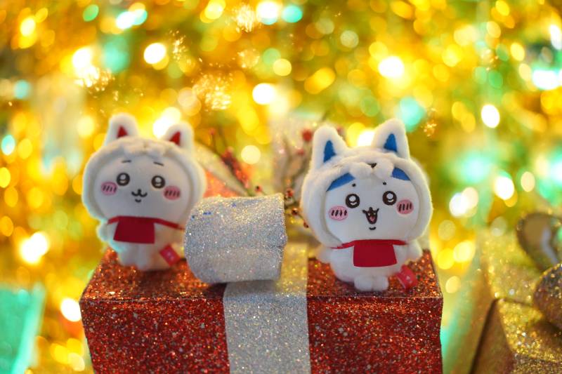 圣诞礼物上的招财猫图片