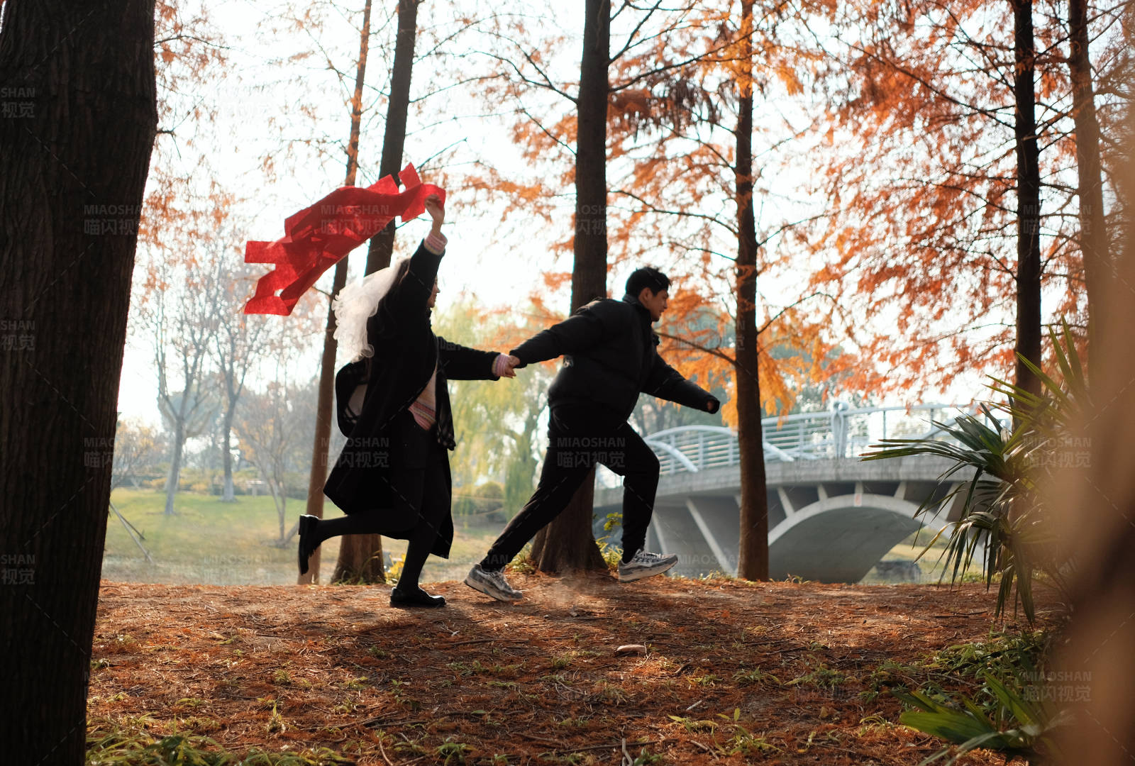 秋日林间奔跑的快乐图片