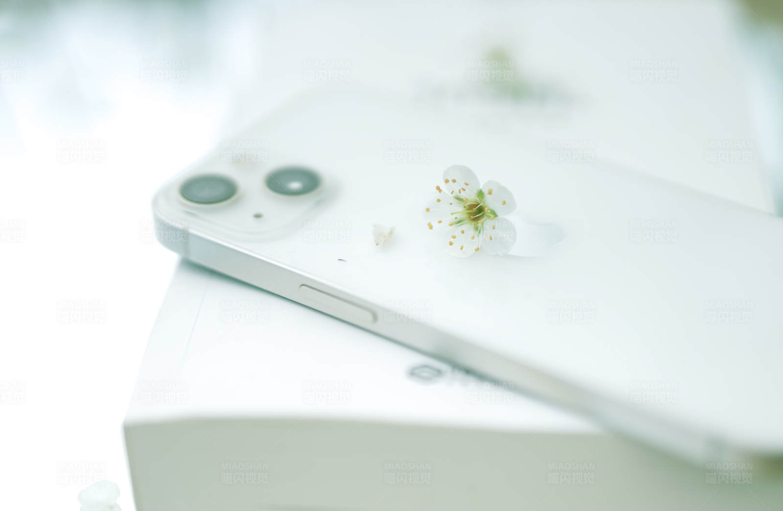 白色手机上的小花图片