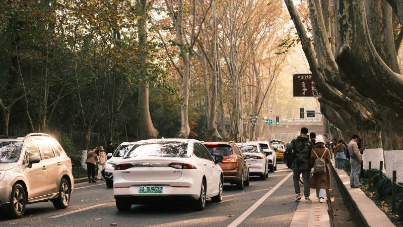城市林荫道上的繁忙交通图片