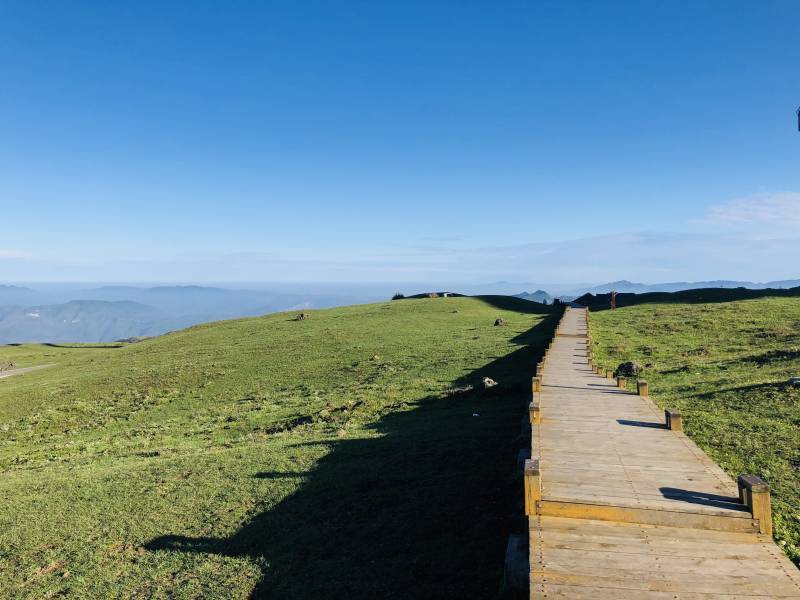 高山草原木栈道图片