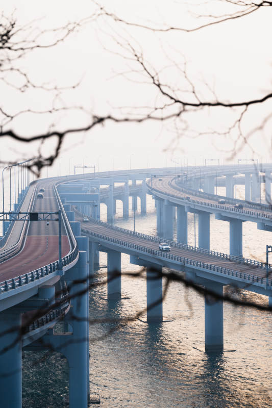 海上高架桥的清晨图片
