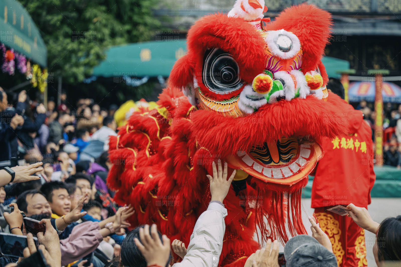热闹的舞狮表演图片