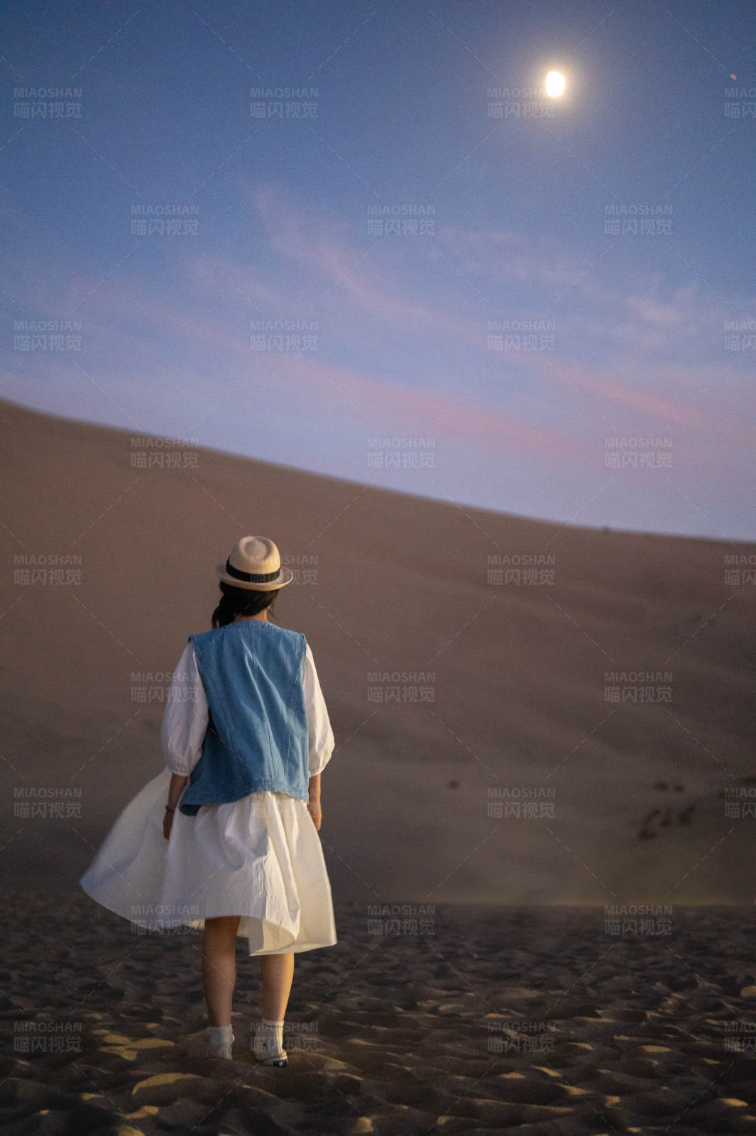 沙漠月夜独行者图片