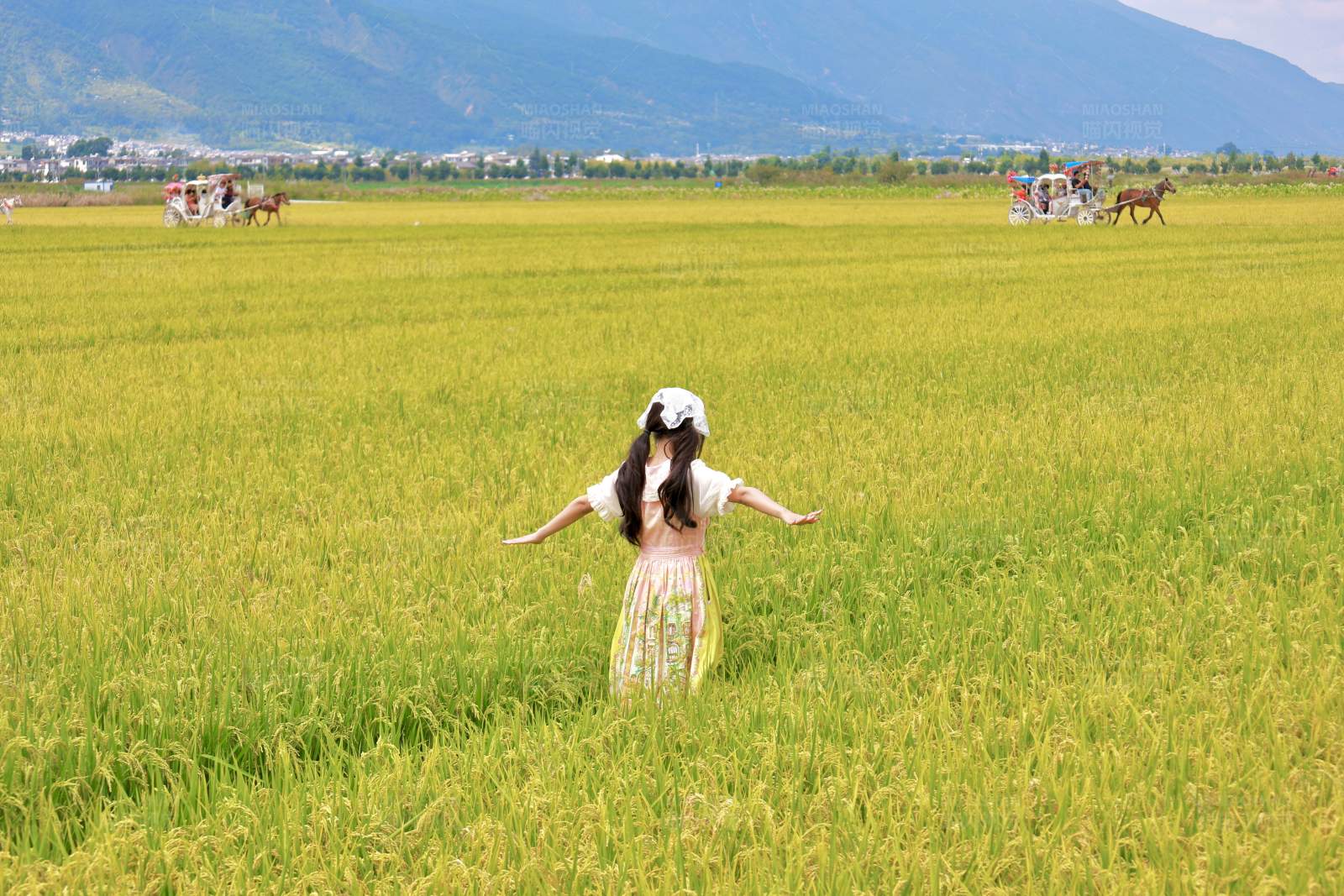 田野间的自由时光图片