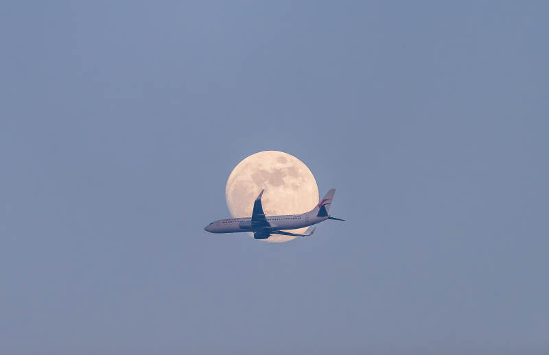 月光下的飞行图片