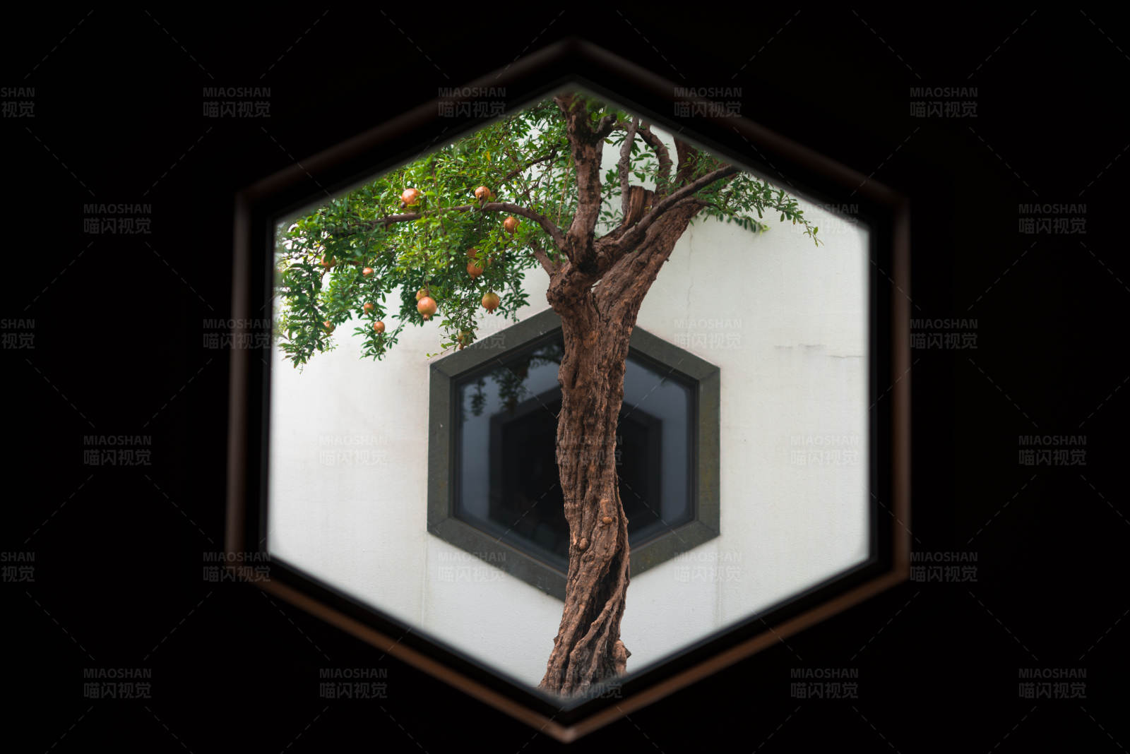 六角窗中的石榴树图片