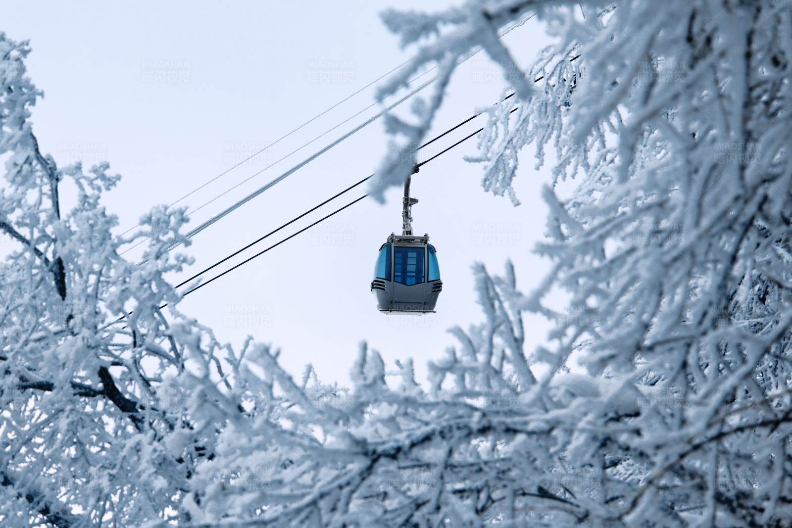雪中缆车图片