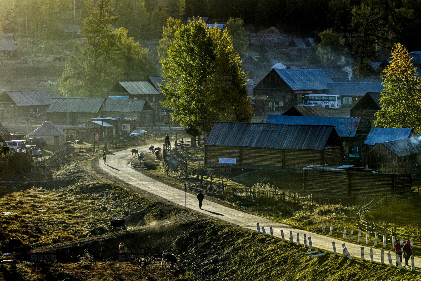 白巴哈村晨曦图片