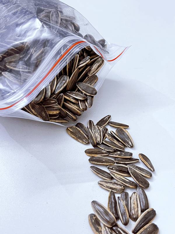 散落的葵花籽图片