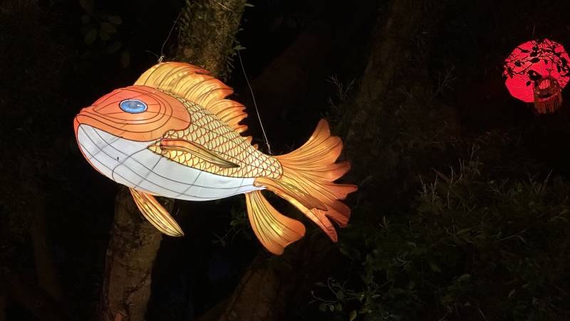 夜空中悬挂的鱼形灯笼图片